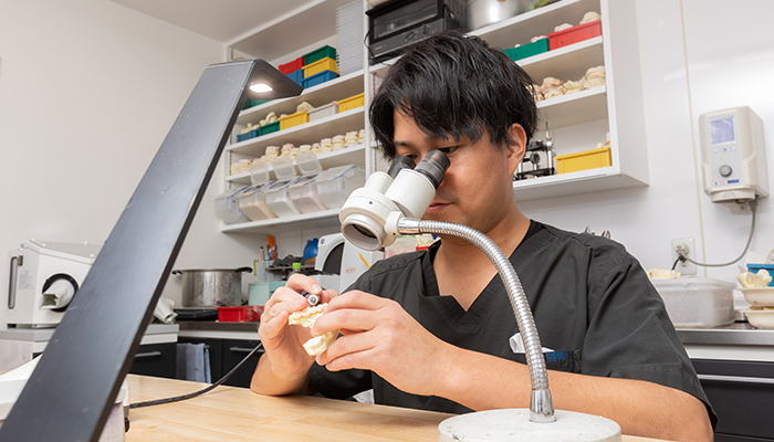 管理者歯科技工士熊谷 直哉 Naoya Kumagai